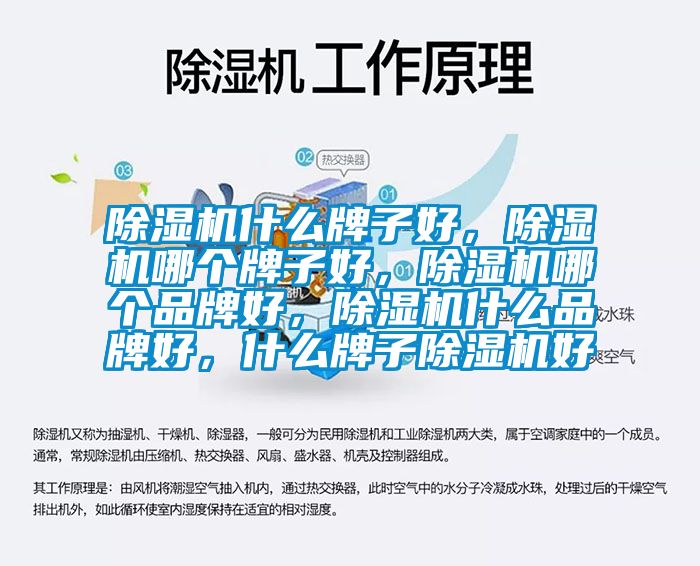 除濕機(jī)什么牌子好，除濕機(jī)哪個牌子好，除濕機(jī)哪個品牌好，除濕機(jī)什么品牌好，什么牌子除濕機(jī)好