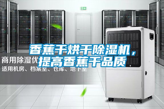 香蕉干烘干除濕機，提高香蕉干品質