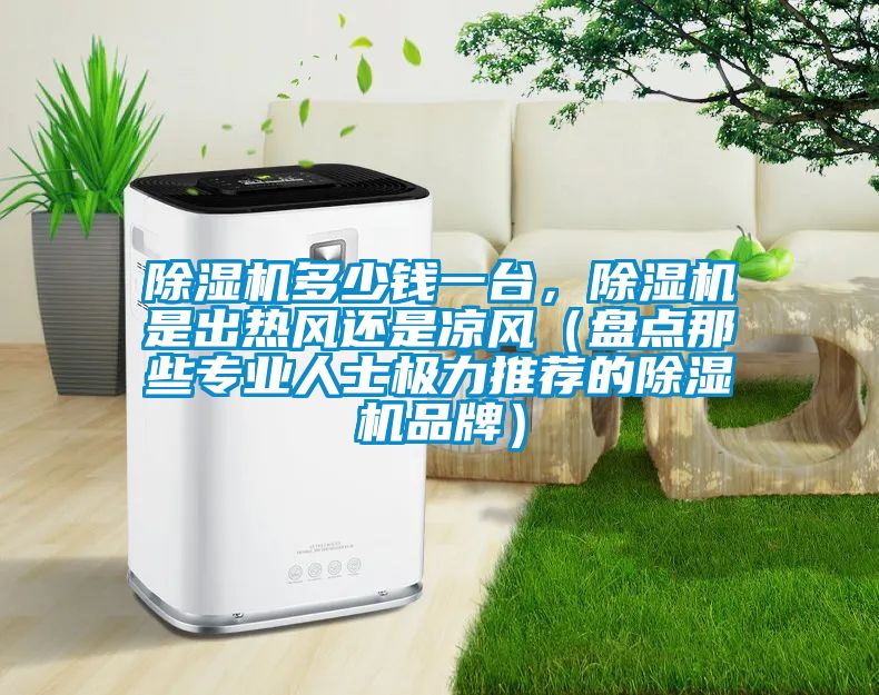 除濕機多少錢一臺，除濕機是出熱風還是涼風（盤點那些專業人士極力推薦的除濕機品牌）