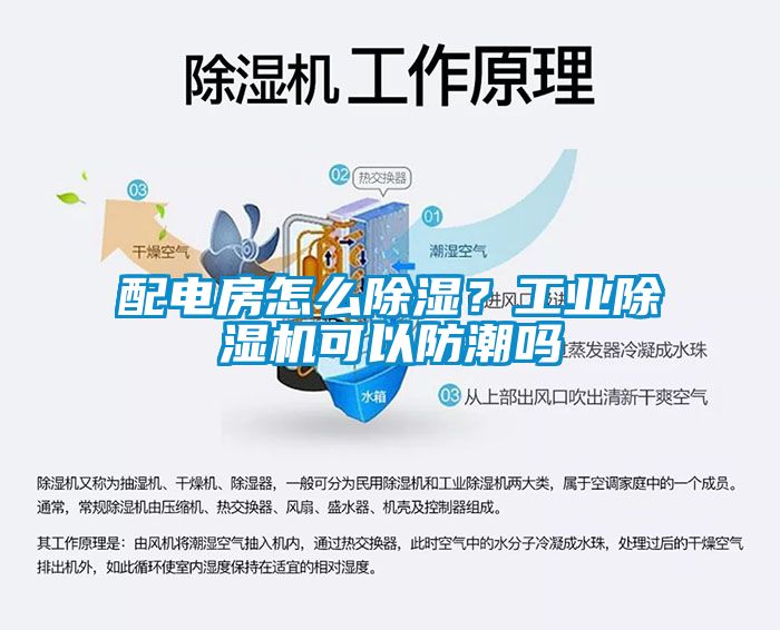 配電房怎么除濕？工業除濕機可以防潮嗎
