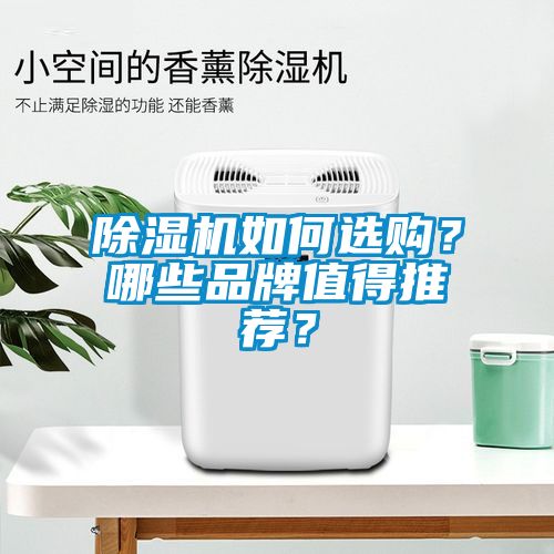 除濕機(jī)如何選購(gòu)？哪些品牌值得推薦？
