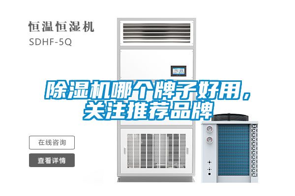 除濕機哪個牌子好用，關注推薦品牌