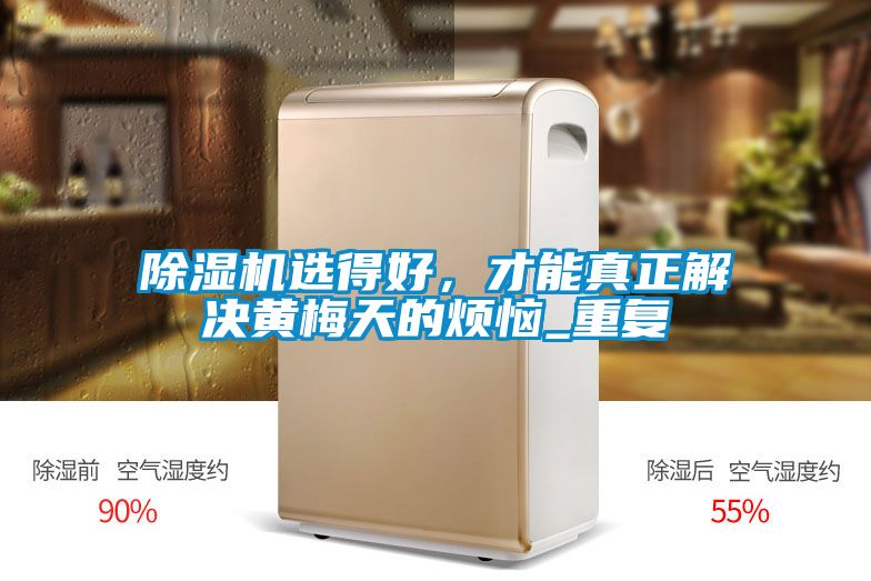 除濕機(jī)選得好，才能真正解決黃梅天的煩惱_重復(fù)