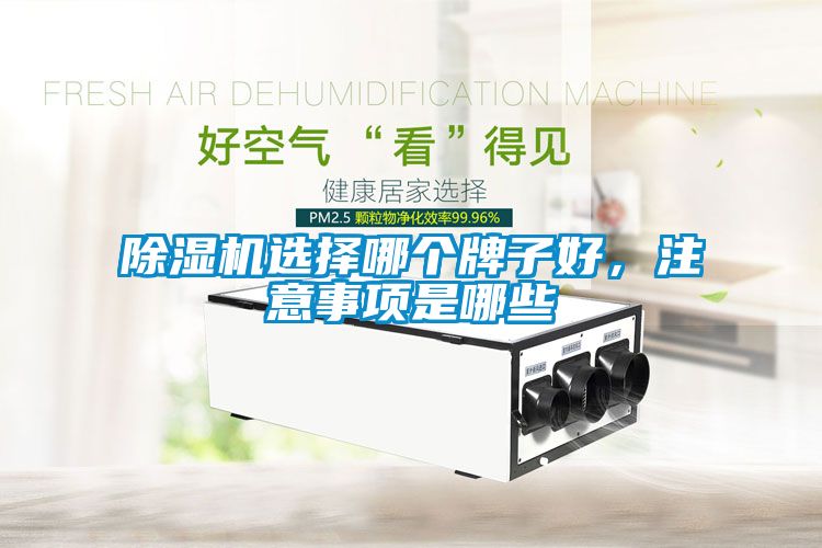 除濕機(jī)選擇哪個(gè)牌子好，注意事項(xiàng)是哪些