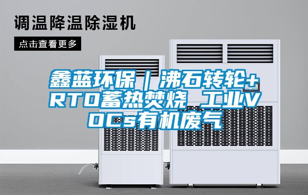 鑫藍(lán)環(huán)保｜沸石轉(zhuǎn)輪+RTO蓄熱焚燒 工業(yè)VOCs有機廢氣