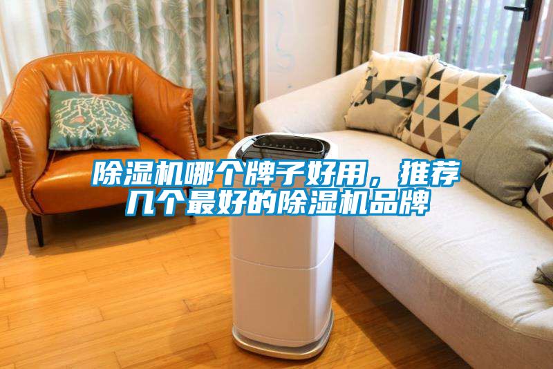 除濕機哪個牌子好用，推薦幾個最好的除濕機品牌