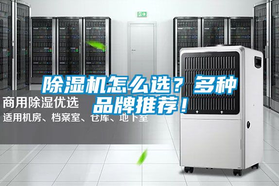 除濕機怎么選？多種品牌推薦！
