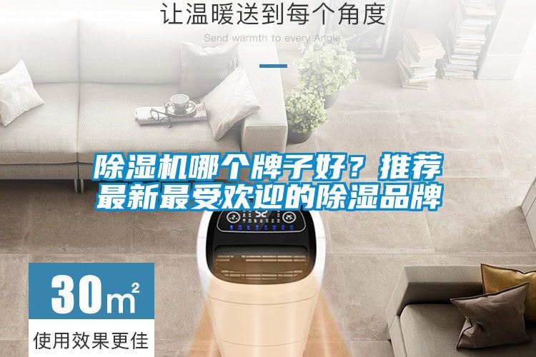除濕機哪個牌子好？推薦最新最受歡迎的除濕品牌