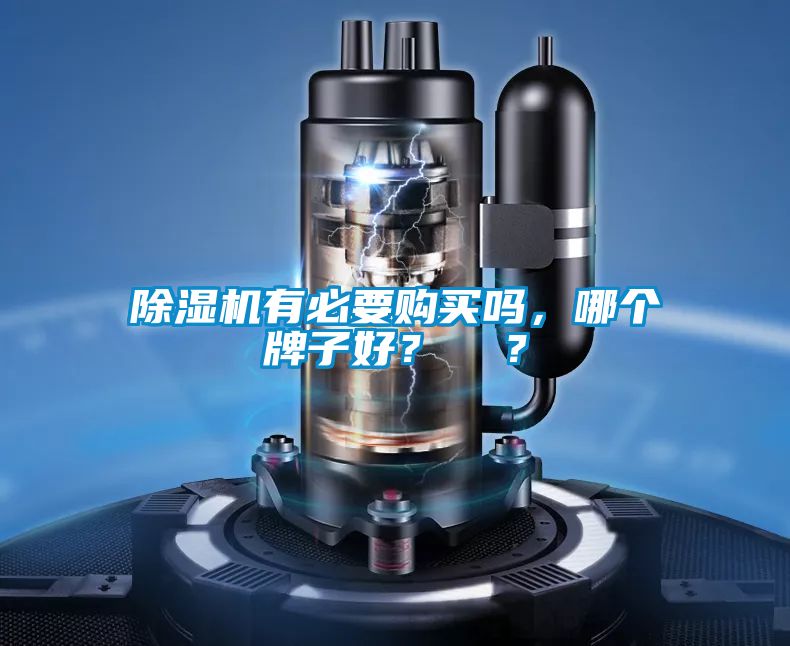 除濕機(jī)有必要購買嗎，哪個(gè)牌子好？  ？