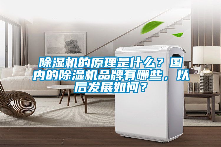 除濕機的原理是什么？國內的除濕機品牌有哪些，以后發展如何？