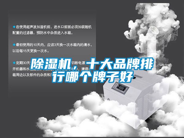 除濕機，十大品牌排行哪個牌子好