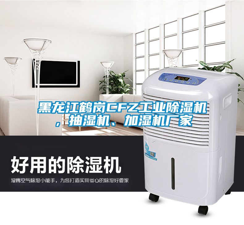 黑龍江鶴崗CFZ工業(yè)除濕機，抽濕機、加濕機廠家