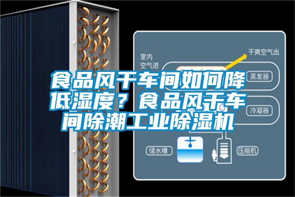 食品風干車間如何降低濕度？食品風干車間除潮工業除濕機