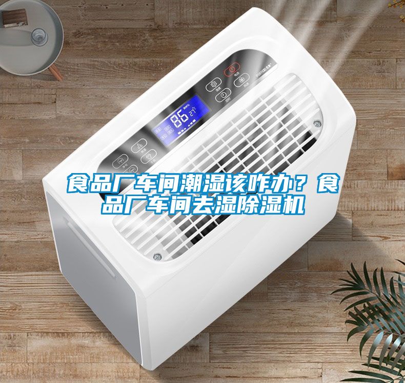 食品廠車間潮濕該咋辦？食品廠車間去濕除濕機(jī)