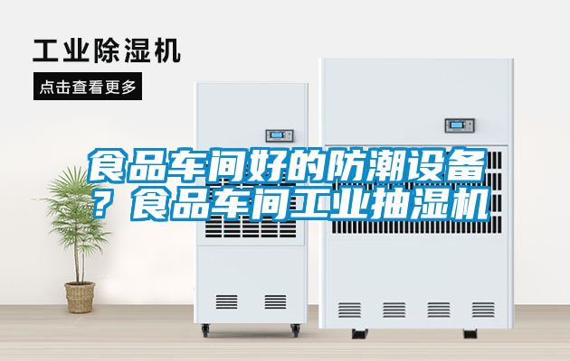 食品車間好的防潮設(shè)備？食品車間工業(yè)抽濕機(jī)